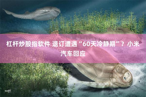 杠杆炒股指软件 退订遭遇“60天冷静期”？小米汽车回应