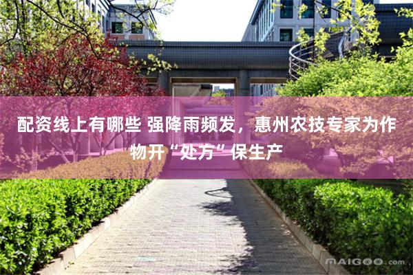 配资线上有哪些 强降雨频发，惠州农技专家为作物开“处方”保生产