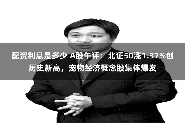 配资利息是多少 A股午评：北证50涨1.37%创历史新高，宠物经济概念股集体爆发