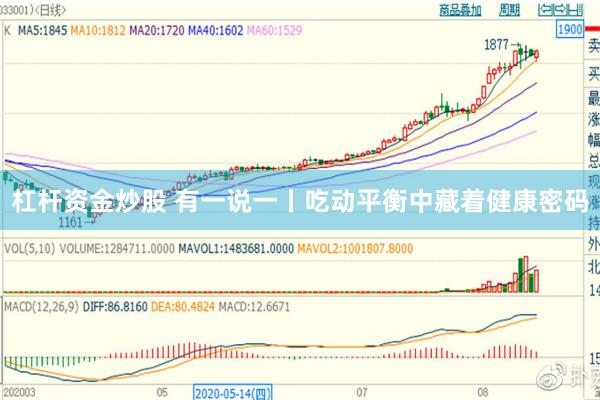杠杆资金炒股 有一说一丨吃动平衡中藏着健康密码