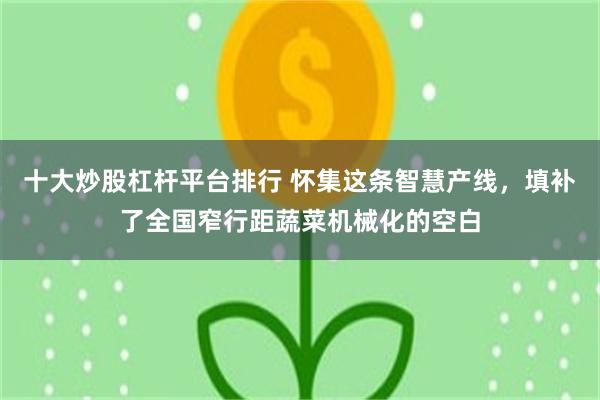 十大炒股杠杆平台排行 怀集这条智慧产线，填补了全国窄行距蔬菜机械化的空白