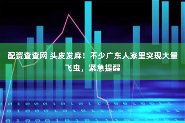 配资查查网 头皮发麻！不少广东人家里突现大量飞虫，紧急提醒