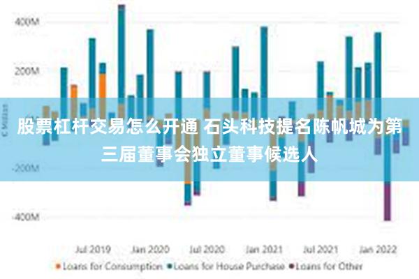 股票杠杆交易怎么开通 石头科技提名陈帆城为第三届董事会独立董事候选人