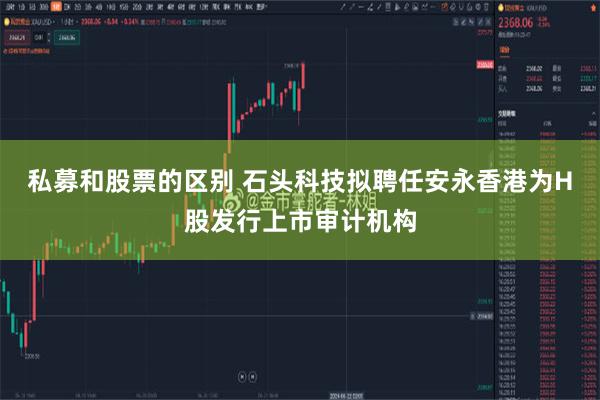 私募和股票的区别 石头科技拟聘任安永香港为H股发行上市审计机构