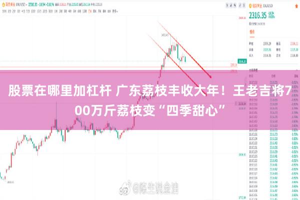 股票在哪里加杠杆 广东荔枝丰收大年！王老吉将700万斤荔枝变“四季甜心”
