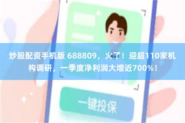 炒股配资手机版 688809，火了！迎超110家机构调研，一季度净利润大增近700%！