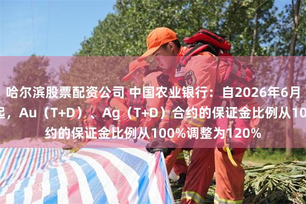 哈尔滨股票配资公司 中国农业银行：自2026年6月5日收盘清算时起，Au（T+D）、Ag（T+D）合约的保证金比例从100%调整为120%