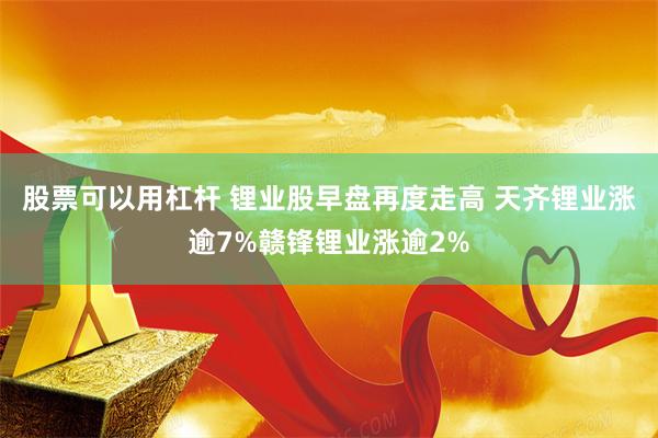 股票可以用杠杆 锂业股早盘再度走高 天齐锂业涨逾7%赣锋锂业涨逾2%