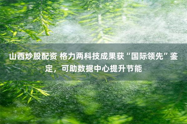 山西炒股配资 格力两科技成果获“国际领先”鉴定，可助数据中心提升节能