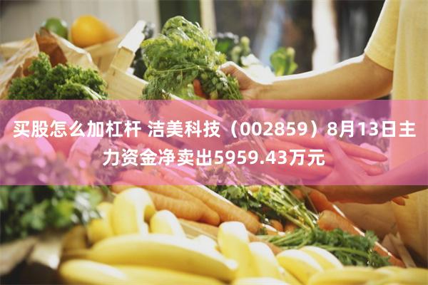 买股怎么加杠杆 洁美科技（002859）8月13日主力资金净卖出5959.43万元