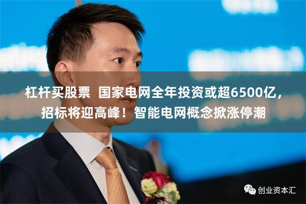 杠杆买股票  国家电网全年投资或超6500亿，招标将迎高峰！智能电网概念掀涨停潮