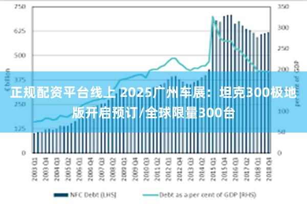正规配资平台线上 2025广州车展：坦克300极地版开启预订/全球限量300台