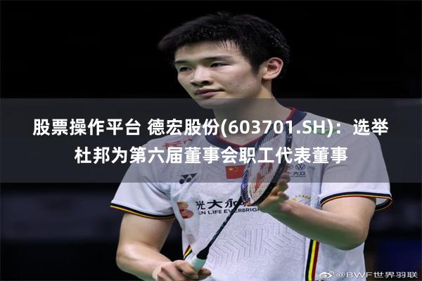股票操作平台 德宏股份(603701.SH)：选举杜邦为第六届董事会职工代表董事