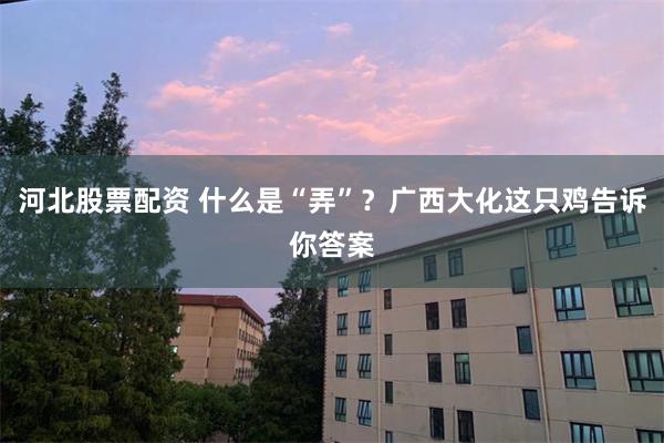 河北股票配资 什么是“弄”？广西大化这只鸡告诉你答案