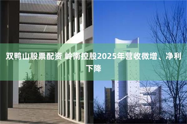 双鸭山股票配资 岭南控股2025年营收微增、净利下降