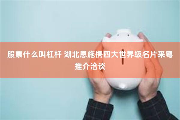 股票什么叫杠杆 湖北恩施携四大世界级名片来粤推介洽谈