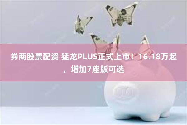 券商股票配资 猛龙PLUS正式上市!16.18万起,增加7座版可选
