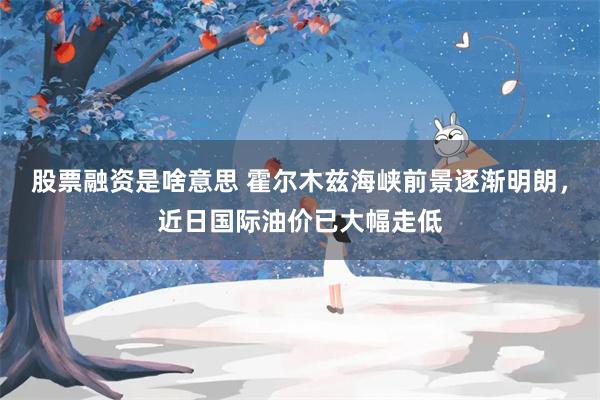 股票融资是啥意思 霍尔木兹海峡前景逐渐明朗，近日国际油价已大幅走低