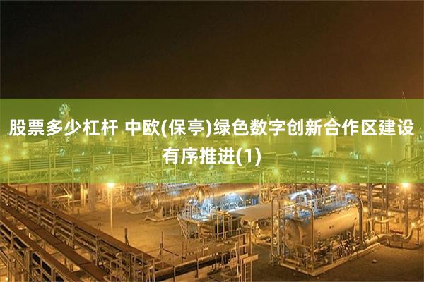 股票多少杠杆 中欧(保亭)绿色数字创新合作区建设有序推进(1)