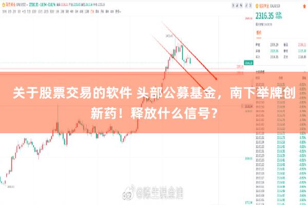 关于股票交易的软件 头部公募基金,南下举牌创新药!释放什么信号?