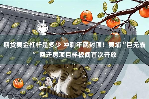 期货黄金杠杆是多少 冲刺年底封顶！黄埔“巨无霸” 回迁房项目样板间首次开放