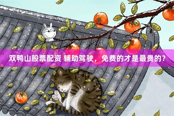 双鸭山股票配资 辅助驾驶，免费的才是最贵的？