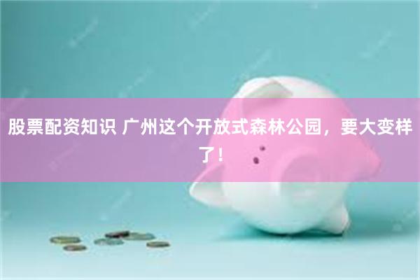 股票配资知识 广州这个开放式森林公园,要大变样了!