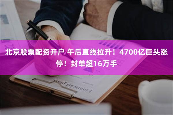 北京股票配资开户 午后直线拉升!4700亿巨头涨停!封单超16万手