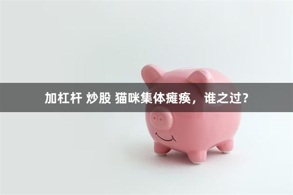 加杠杆 炒股 猫咪集体瘫痪,谁之过?