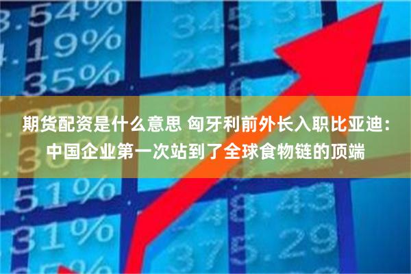 期货配资是什么意思 匈牙利前外长入职比亚迪：中国企业第一次站到了全球食物链的顶端