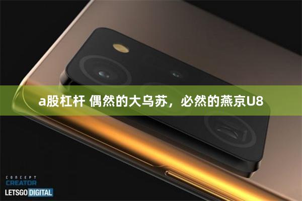 a股杠杆 偶然的大乌苏，必然的燕京U8