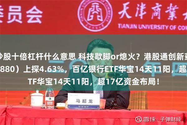 炒股十倍杠杆什么意思 科技歇脚or熄火？港股通创新药ETF华宝（520880）上探4.63%，百亿银行ETF华宝14天11阳，超17亿资金布局！