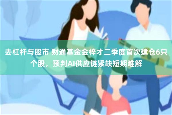 去杠杆与股市 财通基金金梓才二季度首次建仓6只个股，预判AI供应链紧缺短期难解
