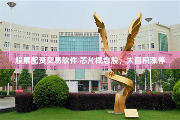 股票配资交易软件 芯片概念股，大面积涨停