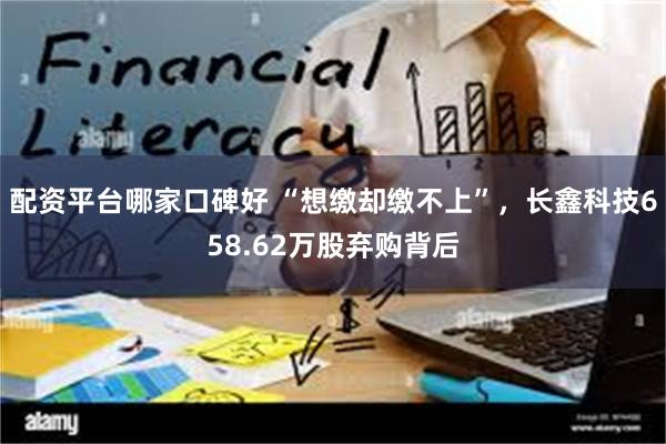 配资平台哪家口碑好 “想缴却缴不上”，长鑫科技658.62万股弃购背后
