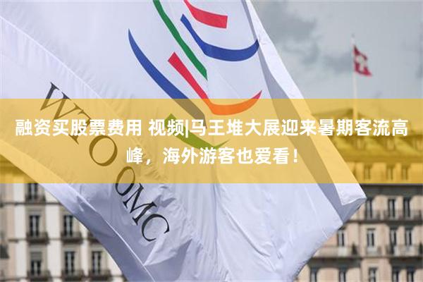 融资买股票费用 视频|马王堆大展迎来暑期客流高峰，海外游客也爱看！