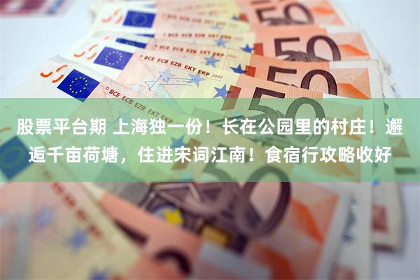 股票平台期 上海独一份！长在公园里的村庄！邂逅千亩荷塘，住进宋词江南！食宿行攻略收好