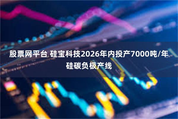股票网平台 硅宝科技2026年内投产7000吨/年硅碳负极产线