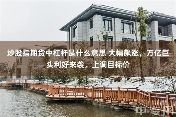 炒股指期货中杠杆是什么意思 大幅飙涨，万亿巨头利好来袭，上调目标价